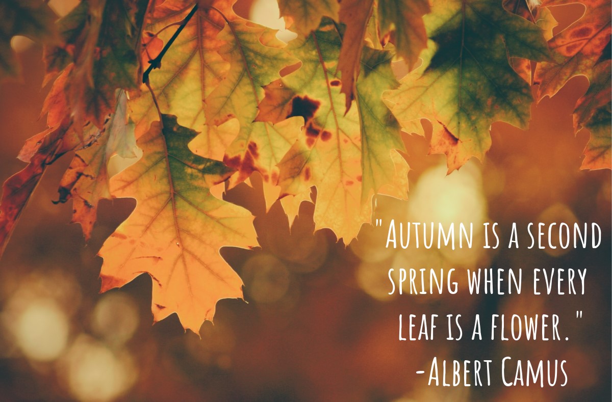 Happy First Day of Fall!