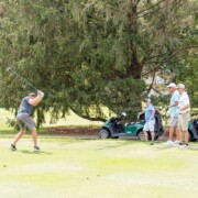 The Scramble for Food