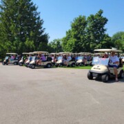 The Scramble for Food